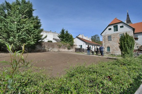 A Török udvarban épül Székesfehérvár első esőkertje a Grundfos támogatásával
